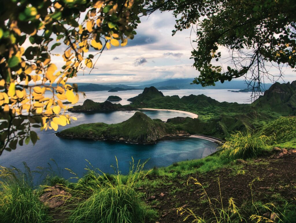 About This Site: An Independent Komodo Day Trip Guide