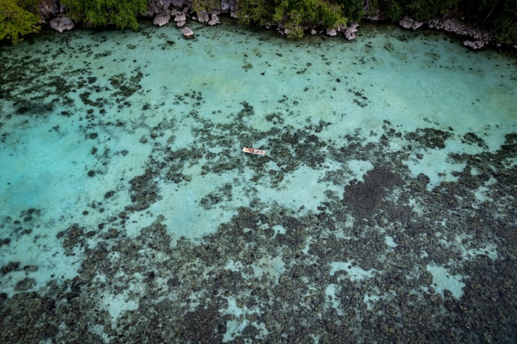 Kanawa Island Snorkeling: The Easiest Water in the Park