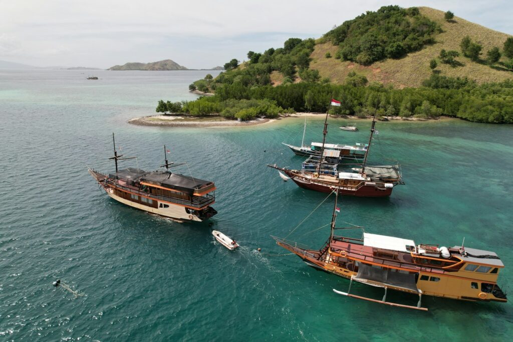 Komodo Day Trip vs 2 Day 1 Night: The Middle Option