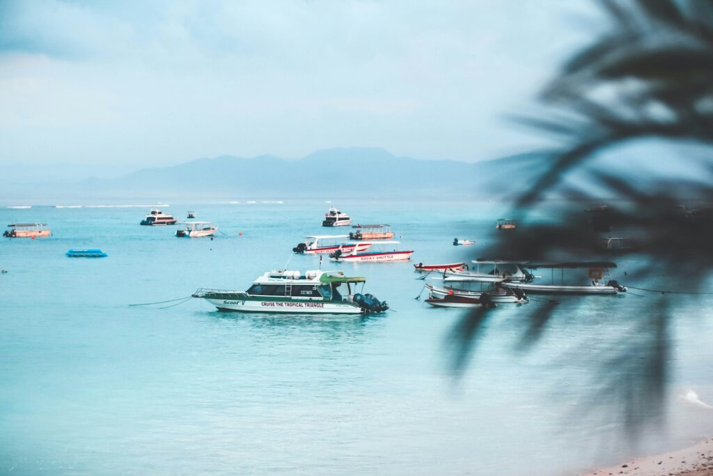 Plan & Book Your Komodo Island Day Trip